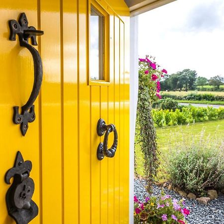 Katie'S Cottage Bellaghy Exterior photo